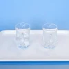 Montessori Wet Pouring Activity - includes 2 Glass Pitchers & Melamine Tray
