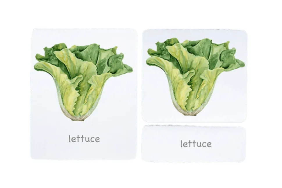 3-Part Language Cards (Watercolour) (Multiple Themes Available)