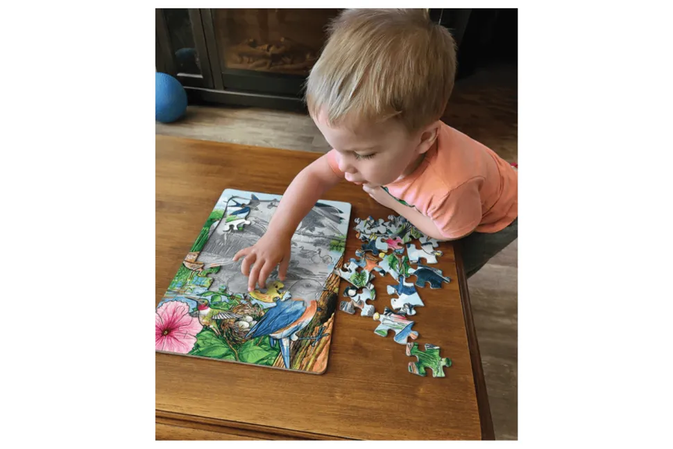 35 Piece Tray Puzzles (Multiple Themes)