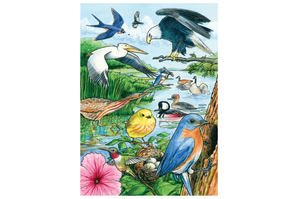 35 Piece Tray Puzzles (Multiple Themes)