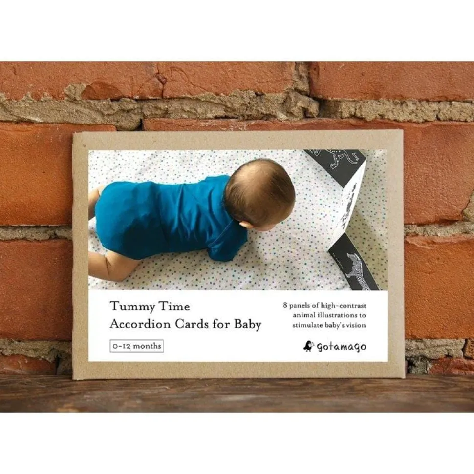 Tummy Time Accordion Cards for Baby