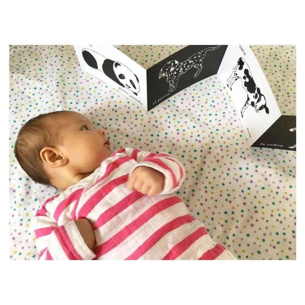 Tummy Time Accordion Cards for Baby