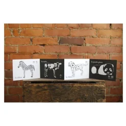 Tummy Time Accordion Cards for Baby