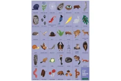 Woodland Forest Search & Find Puzzle