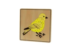 Zoology Puzzle - Parts of the Bird