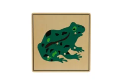 Zoology Puzzle - Parts of the Frog